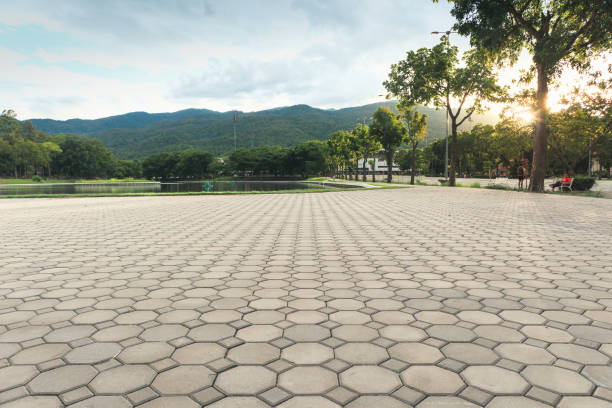 Best Driveway Paving Company  in Westworth Village, TX