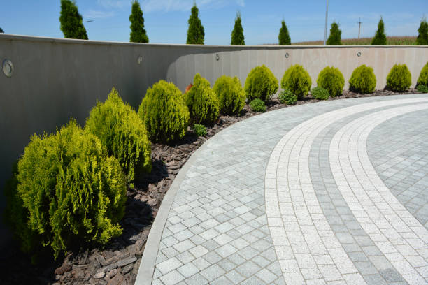 Reasons to Select Us for Your Driveway Paving Requirements in Westworth Village, TX
